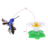 Image of Electric Rotating Colorful Butterfly Toys