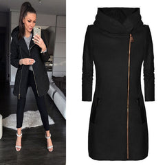 High Collar Hooded Winter Jacket